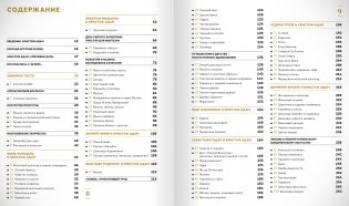 Эклеры. 20 лет эволюции (светлый переплет) фото книги 4