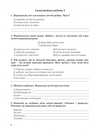 Лiтаратурнае чытанне. 4 клас. Сшытак для самастойных работ фото книги 7