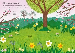 Прекрасные цветы фото книги 2