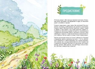 Растения вокруг нас фото книги 3