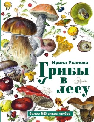 Грибы в лесу фото книги