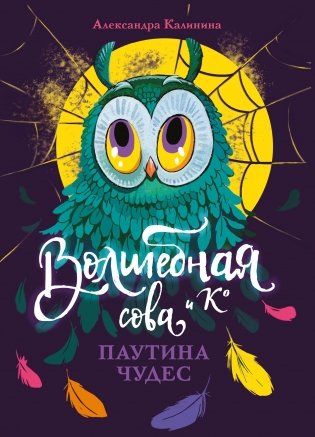 Паутина чудес фото книги