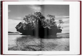 Sebastiao Salgado. Genesis фото книги 7