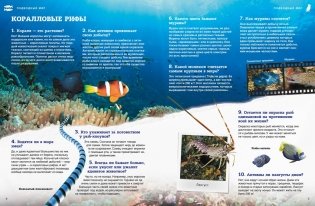 Подводный мир фото книги 3