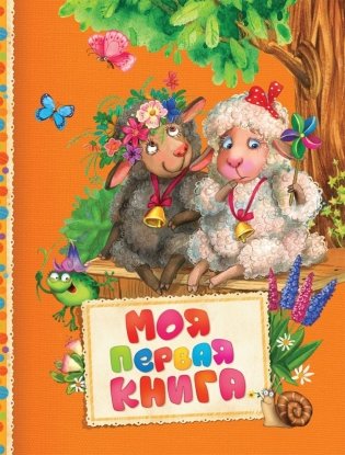 Моя первая книга фото книги