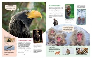 Яркий мир животных фото книги 6