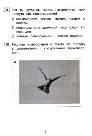 Чтение. 2 класс. Диагностика читательской компетентности фото книги 6