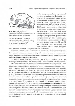 Основы нейропсихологии фото книги 16