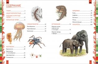 Животные. Большая энциклопедия фото книги 4