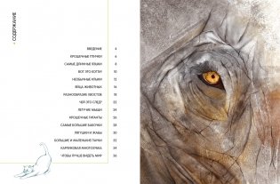 Самые удивительные животные в натуральную величину фото книги 2