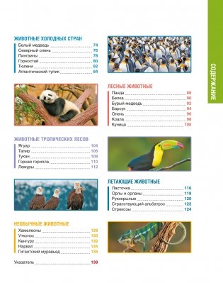 В мире животных. Энциклопедия фото книги 9