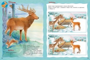 Кто живёт в лесу? Книжка-активити с развивающими заданиями, головоломками, наклейками фото книги 4