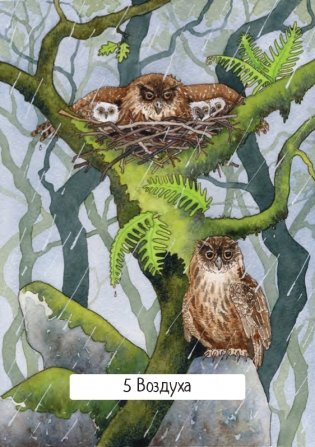 Таро ведьм (78 карт, инструкция) фото книги 28