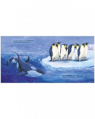 Книжки-картинки. Сладких снов, мой малыш! фото книги 7