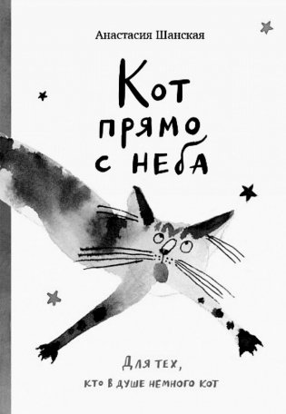 Кот прямо с неба фото книги
