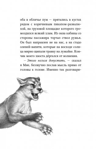 Караг и волчье испытание (#7) фото книги 11