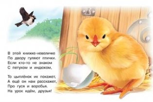 Домашние птицы фото книги 2