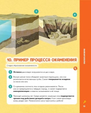 Динозавры фото книги 14