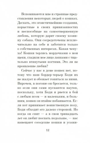 Кошачьи истории фото книги 11