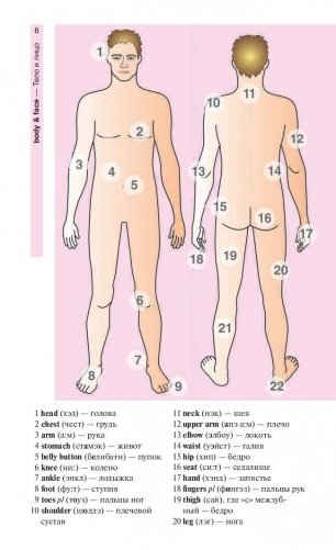 Английский язык в картинках фото книги 5