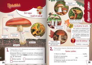 Ласункі агарода, саду, лесу. Узбагачаем слоўнікавы запас, выконваем заданні, пашыраем кругагляд (6-10 гадоў) фото книги 8