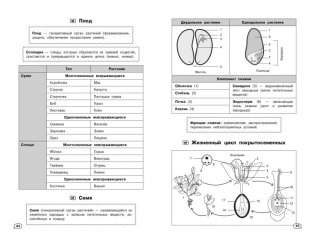 Биология (+ обучающие видео) фото книги 7