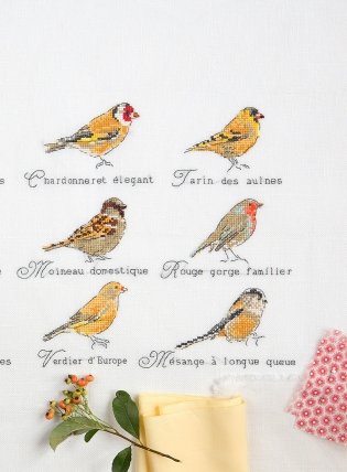 Французская вышивка крестом. Великолепные цветы и птицы фото книги 9