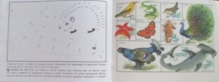 Альбом для раскрашивания. Кошка мяукает, поросенок хрюкает фото книги 6