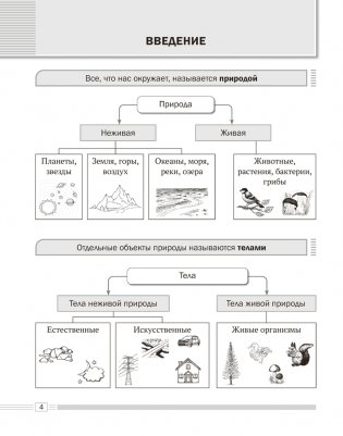 Биология. 6 класс. Опорные конспекты, схемы и таблицы. ГРИФ фото книги 4