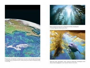 Удивительное зарождение Земли: Путешествие по скрытым чудесам, которые дали жизнь нашей планете фото книги 6