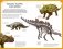 Dinosaurs: Book and Fact Cards фото книги маленькое 6