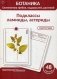 Ботаника. Систематика грибов, водорослей, растений. Блок 4: Подклассы ламииды, астериды. 48 герберных карточки фото книги маленькое 2