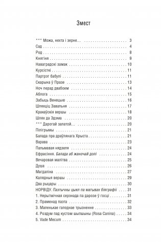 Сад камянёў. Вершы фото книги 4