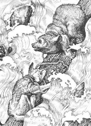 Бродяги Севера фото книги 2