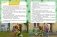 Хобби-тетрадь Гены Барбоскина фото книги маленькое 5