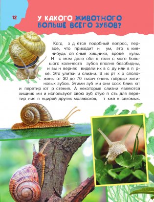 100 тысяч почему. Вопрос-ответ фото книги 11