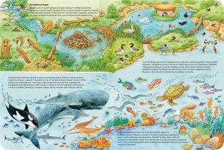 Мир животных фото книги 3