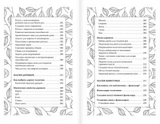 Секреты зеленой ведьмы. Фамильяры, магия стихий, растений и камней фото книги 5