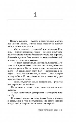 Одна маленькая вещь фото книги 15