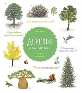 Деревья и кустарники фото книги