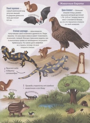 Животные. Активити-атлас с наклейками фото книги 5
