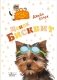 Щенок Бисквит фото книги маленькое 2