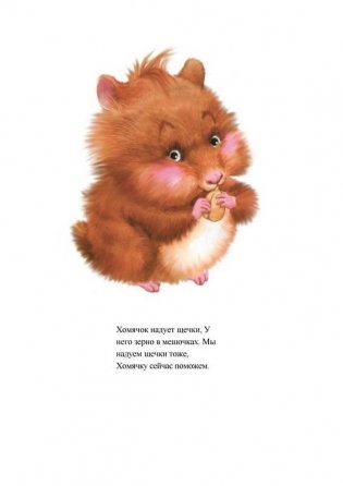 Веселая артикуляционная гимнастика фото книги 5