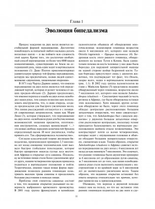Локомоция человека. Протокол обследования, оценка, лечение и профилактика травм, связанных с циклом походки фото книги 11