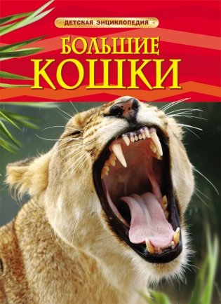 Большие кошки. Детская энциклопедия фото книги