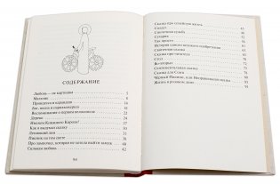 Неправильная сказка фото книги 4