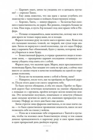 Чародей фото книги 13