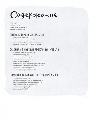 Ремесленный хлеб на закваске. Изумительная домашняя выпечка почти без замеса фото книги 2