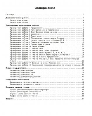 Обучение грамоте. 1 класс. Тетрадь для проверочных работ. ГРИФ фото книги 9