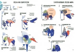 Планета Земля. Мир вокруг нас в инфографике фото книги 3